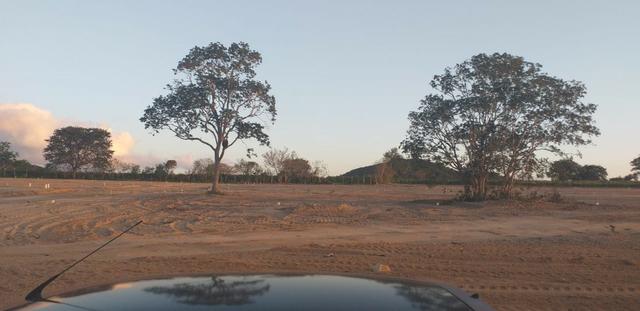 PH- Lotes em Caruaru, com sinal de 2 mil reais ! - Foto 3