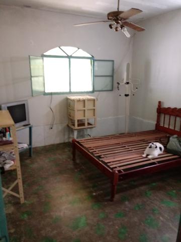 Vendo mini sítio. não quero troca. ok - Foto 15