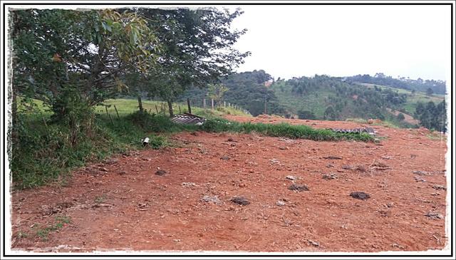 Não perca essa oportunidade e venha conhecer - Foto 2