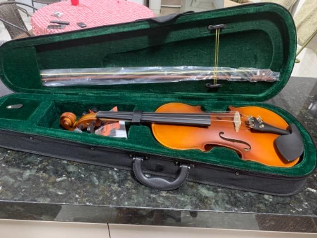 Violino