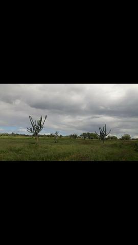Fazenda Em Lamarão - Foto 2