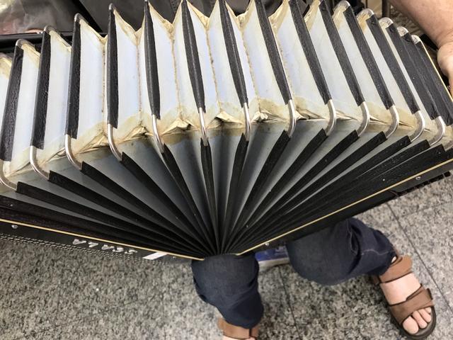 Acordeon / sanfona todeschini 120 baixos dente de coelho - Foto 5