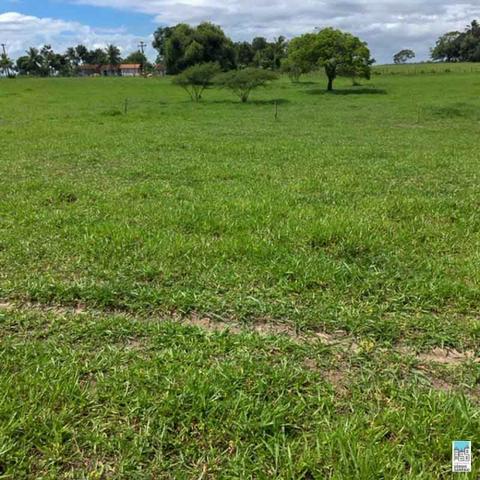 Excelente Fazenda em Amélia Rodrigues - Bahia - Foto 3