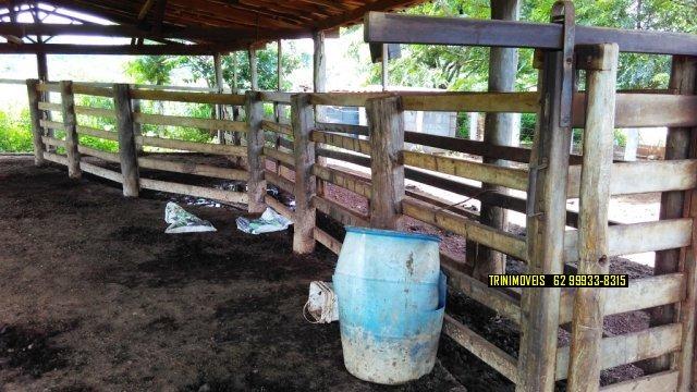 Fazenda de 13 alq. em Trindade - Foto 13