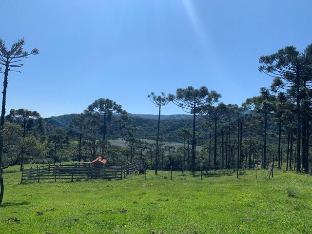 Urubici/ chácara em Urubici/ terrenos em Urubici - Foto 4