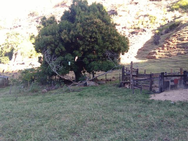Venda-se está propriedade de 12 alqueires no Município de Muqui/ES - Foto 20