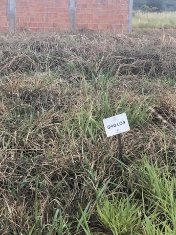 Vendo terreno Vival dos Ipês - Foto 2