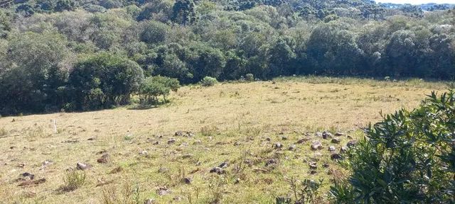 Chácara 2,0 Ha Dalagno - Foto 10