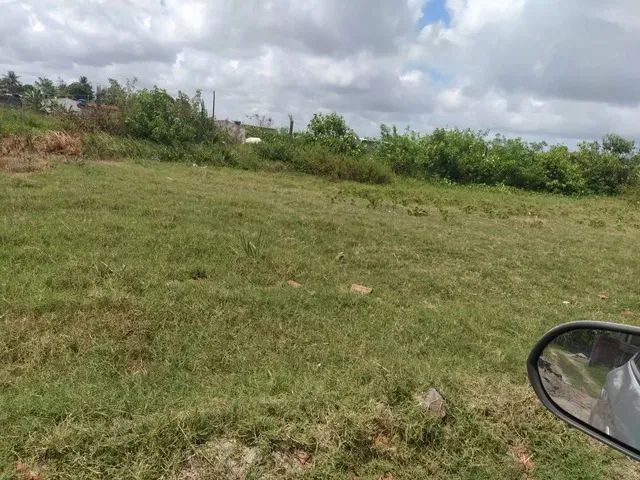 Terreno Proximo a Porto de Galinhas! - Nascente e com Projeto Incluso! - Foto 2
