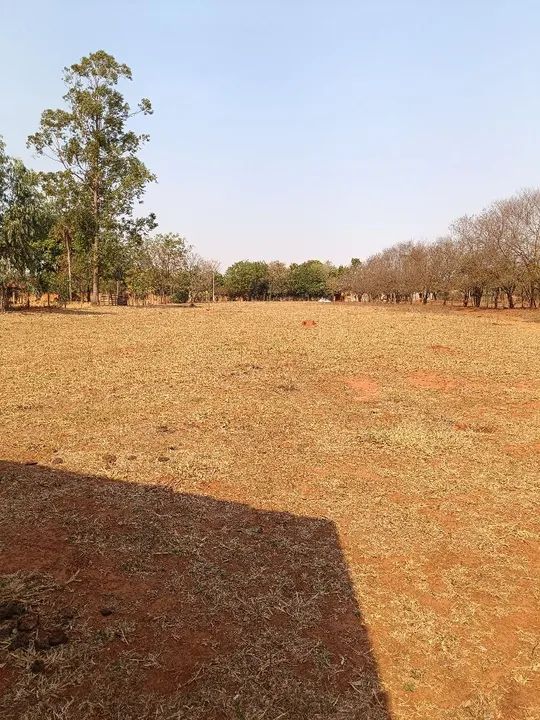 Chácara Arco Íris em Araçatuba-SP- terreno de 5000 m² - Oportunidade - Foto 4