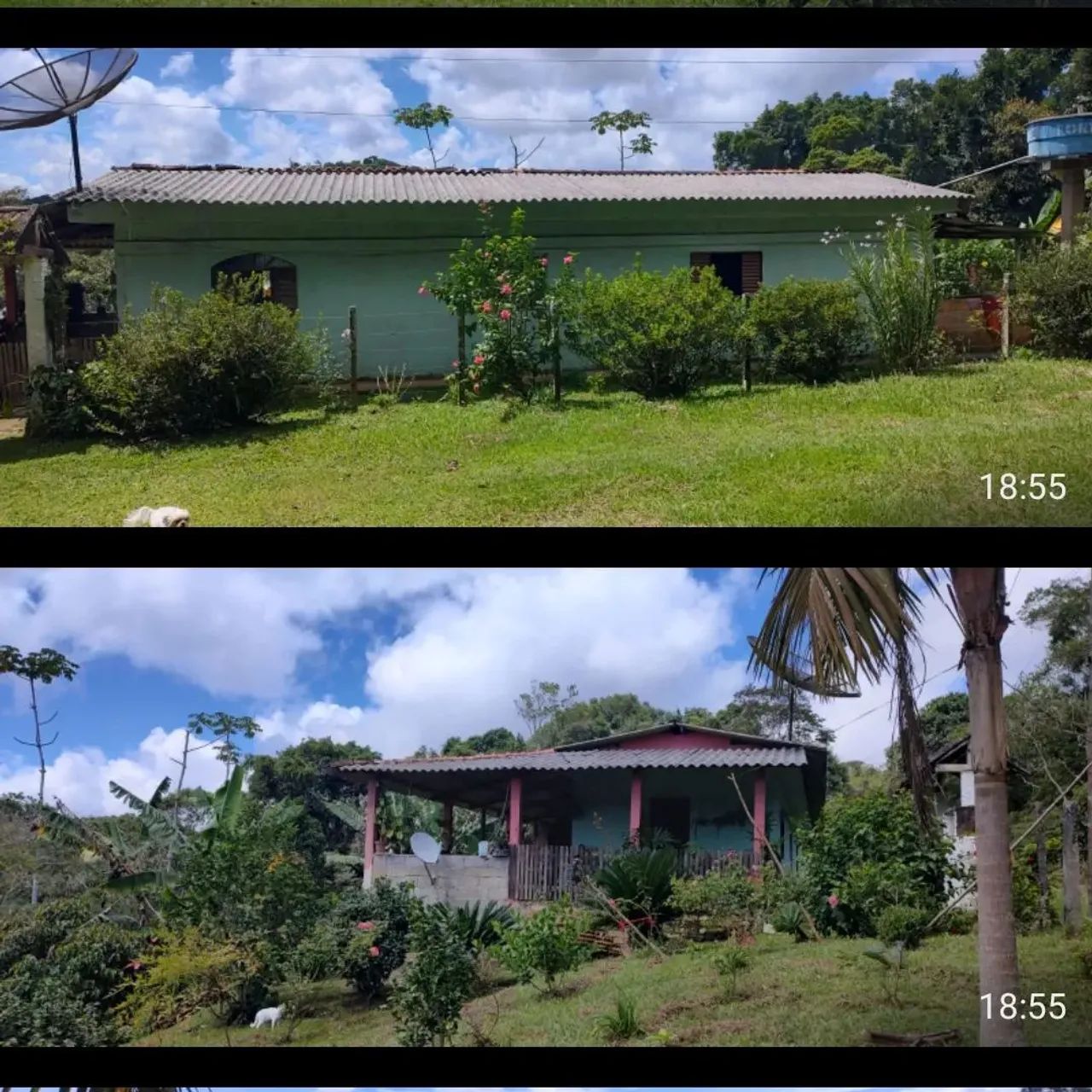 Sítio com casa e pomar em área verde - Foto 4