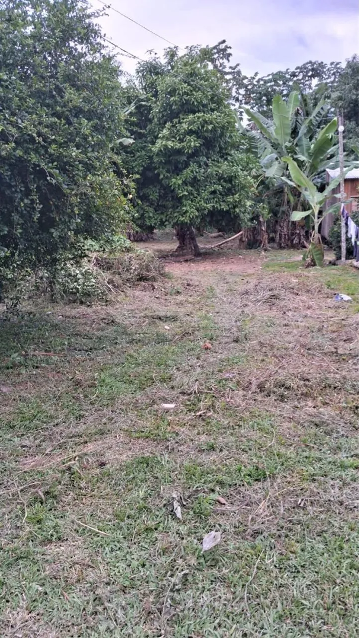 Vendo terreno 10x40 Apolônio Sales, aceito proposta
