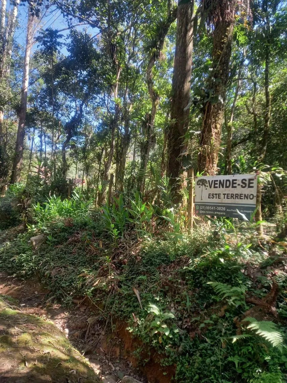 Belíssimo terreno com grande parte plana no Vale do Pavão, com córrego ao fundo, em meio à - Foto 5