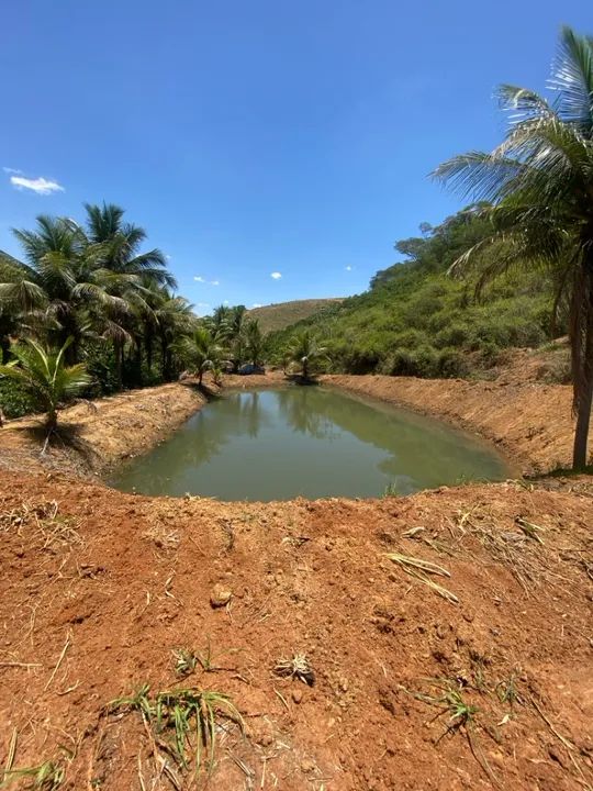 Terreno com com 2 tanques de peixe - Foto 2