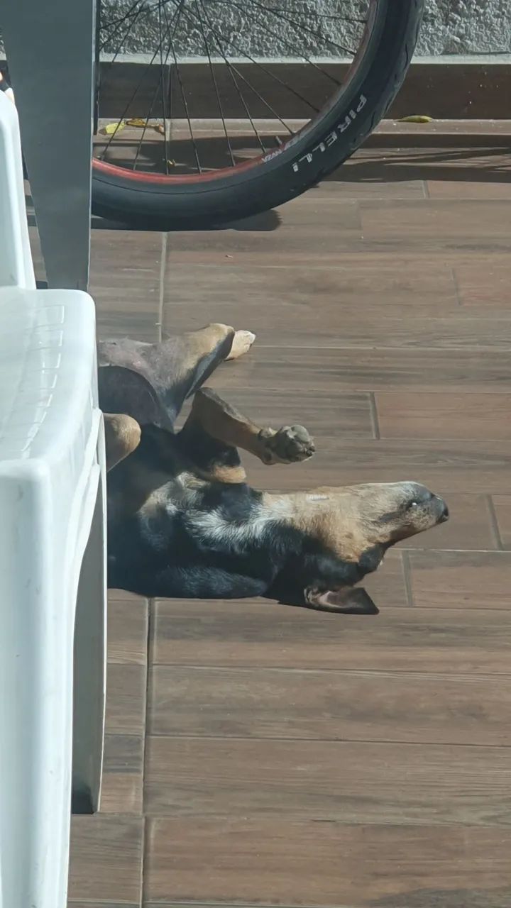 Foto - Goiânia - Jardim Novo Mundo