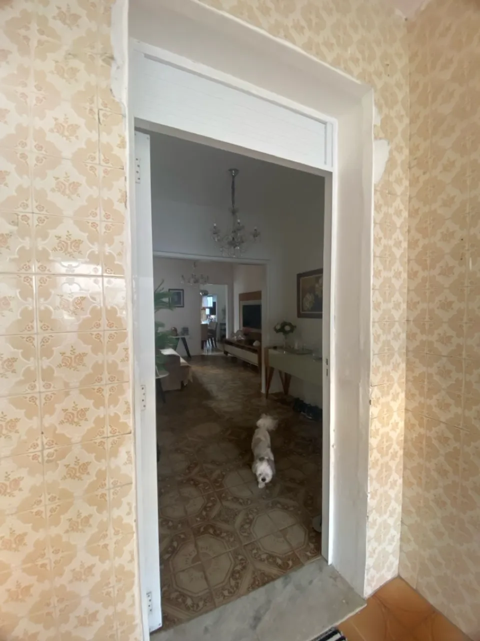 Vendo casa