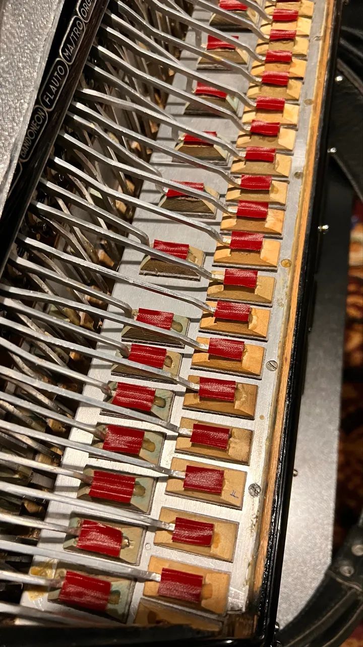 Acordeon Italiano 120 Baixos Duplo Cassoto - Philharmonica (Dallapé) - Foto 3