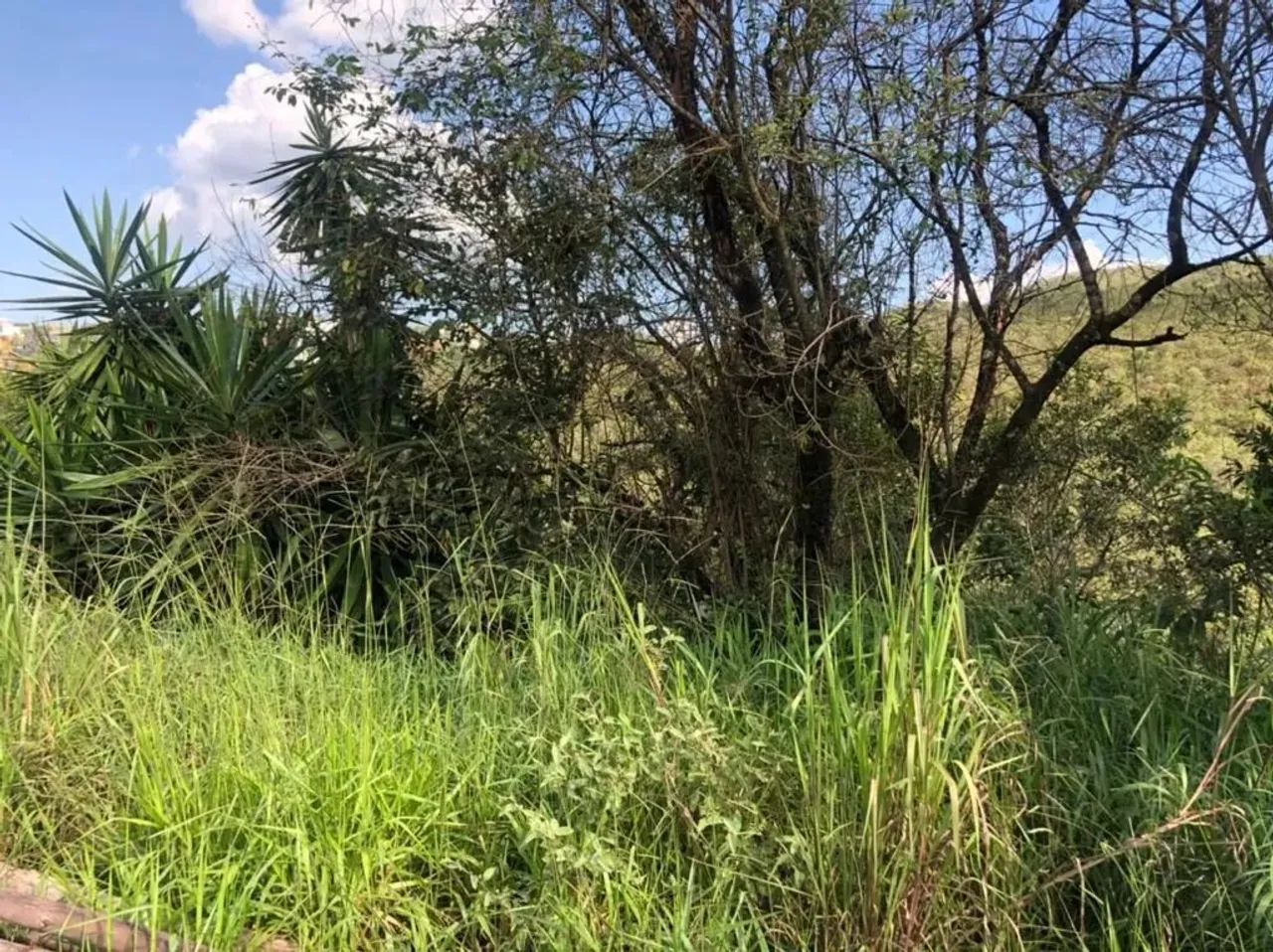 Lote em condomínio, Vila Del Rey Anexo, Vila Del Rey, Nova Lima, R$1.100.000,00, à venda n - Foto 5