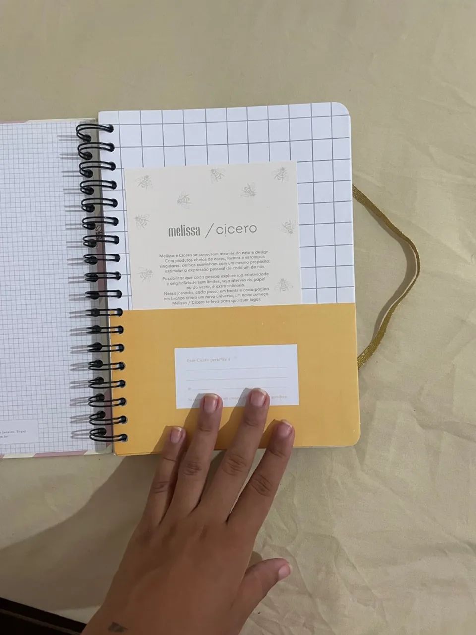 Caderno Colegial Melissa/Cicero - Pautado - 160 folhas - Foto 2