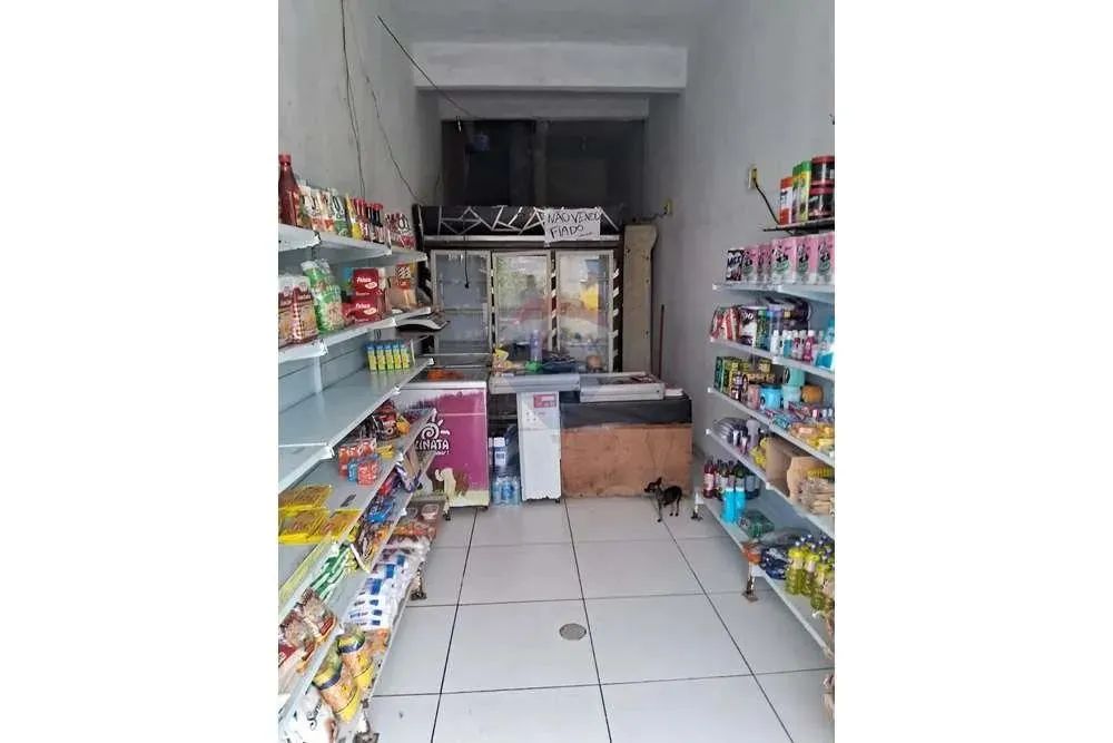 "Investimento Ideal: Imóvel Comercial e Residencial AL" Ponto comercial com 2 casas e 1 ga - Foto 5