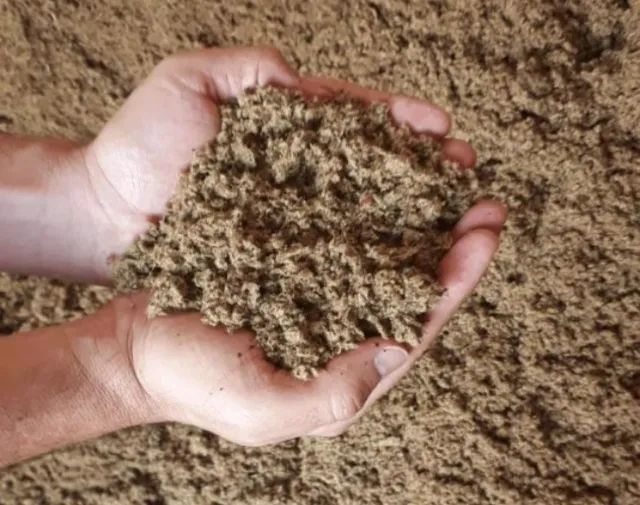 TORTA DE ALGODAO FOB EM NOVA MUTUM.MT SAFRA/2025