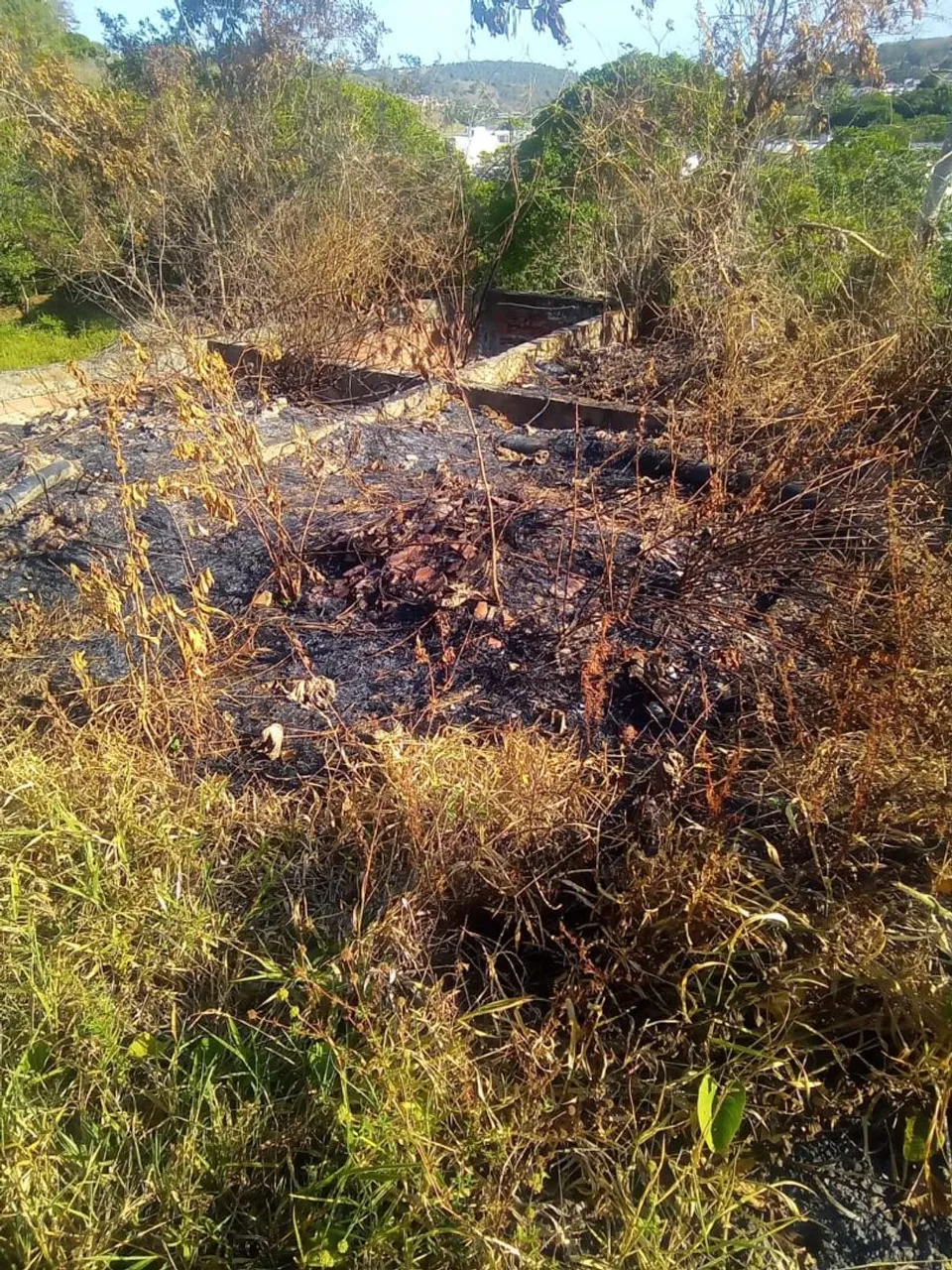 Terreno Com Radiê