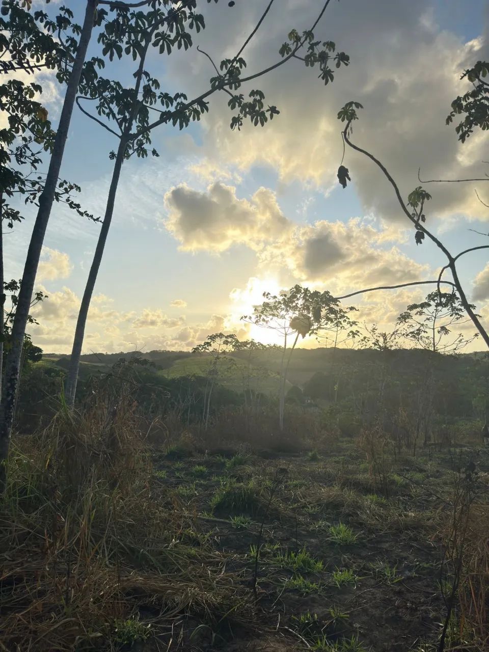 Casa Temporada  - Foto 14