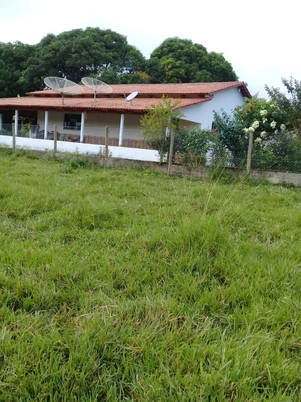 Sitio de 9 alqueires, Goiás Velho