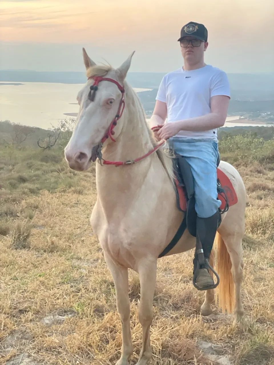 Cavalo Albino raro manga larga marchador  - Foto 3