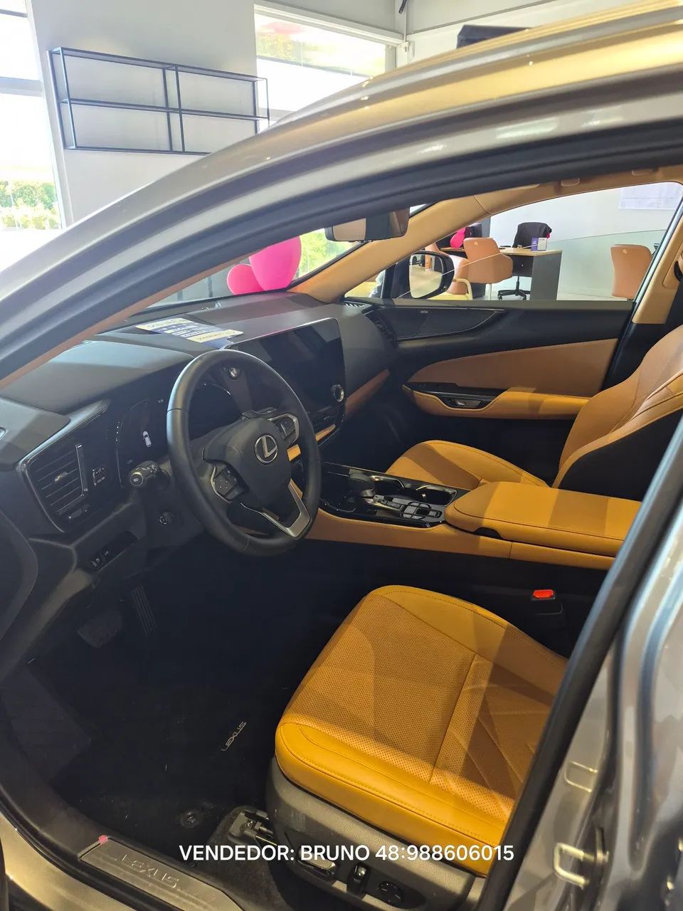 Lexus NX-450h+ AWD 2.5 16V Aut. (Híbrido), foto 15 de 15