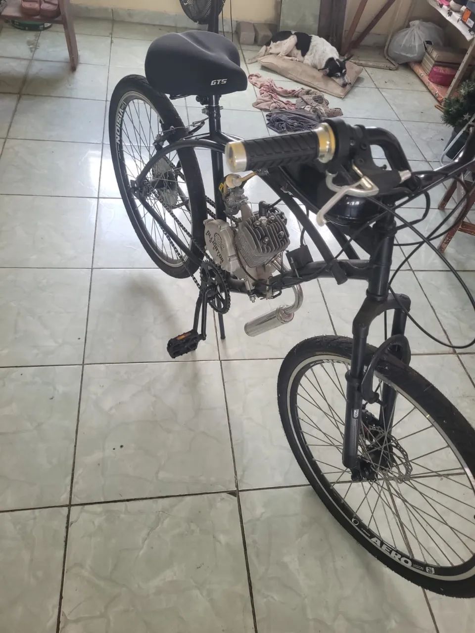 Bicicleta motorizada 