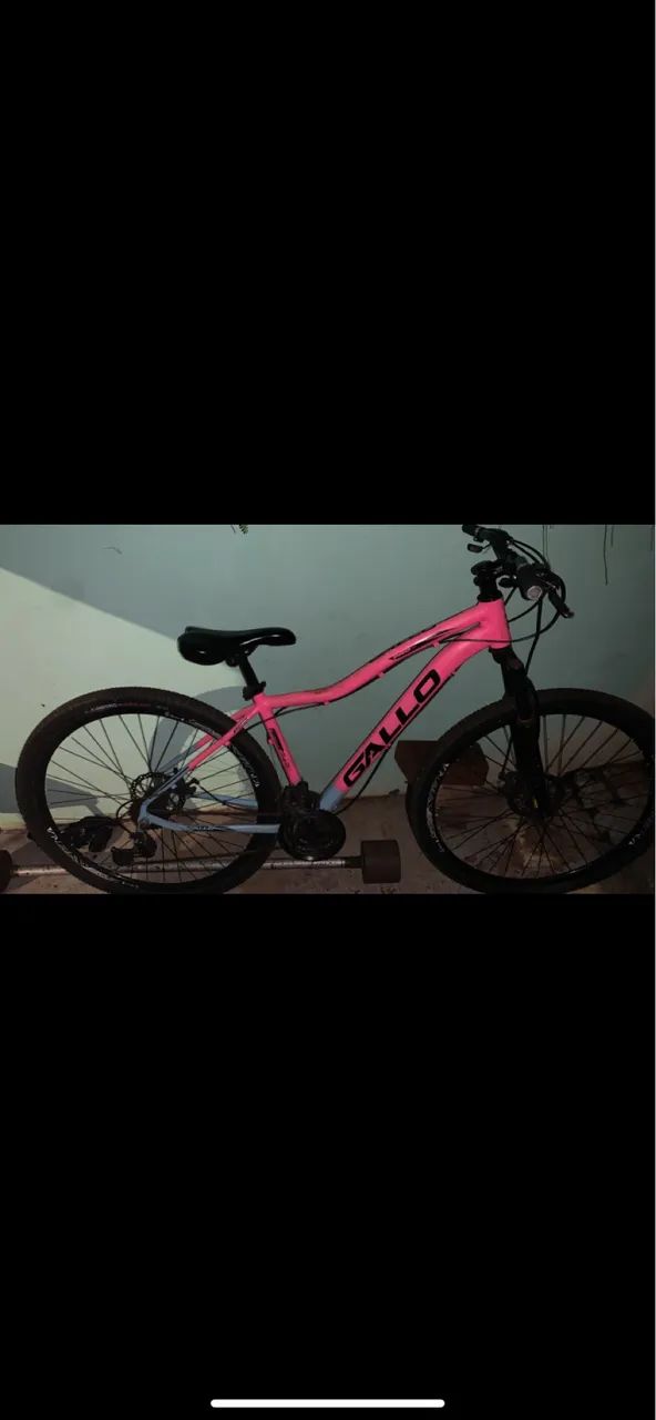 Bicicleta aro29