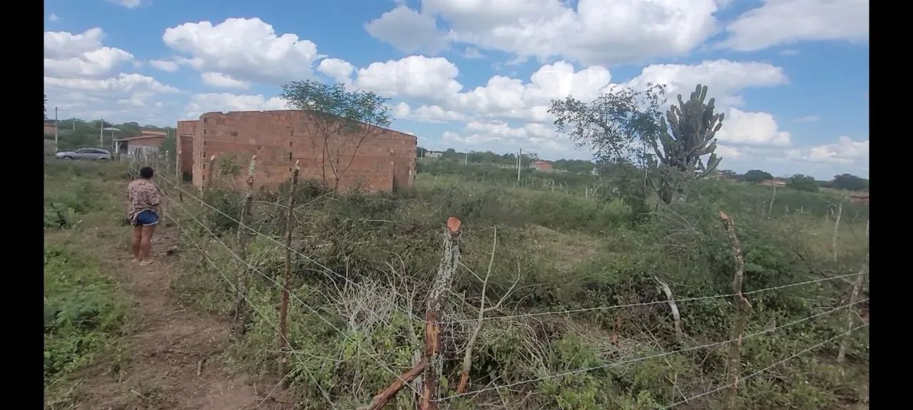 Terreno - Foto 3