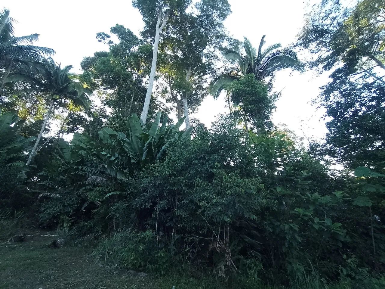 95.000 - Foto 5