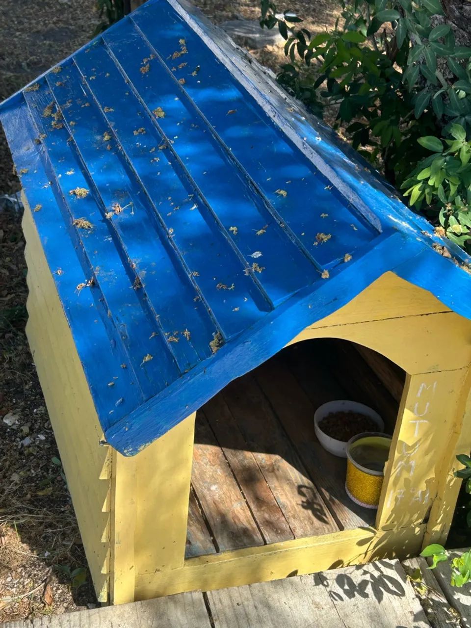Casinha para pets