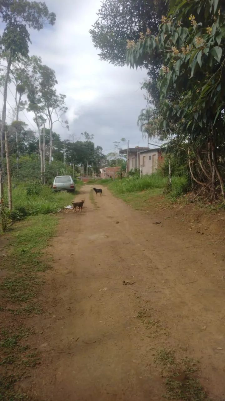 Laje em Itacaré 40 Metros Quadrados - Foto 4