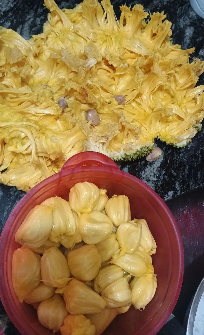 Vendo jaca madura 10 reais cada - Foto 2