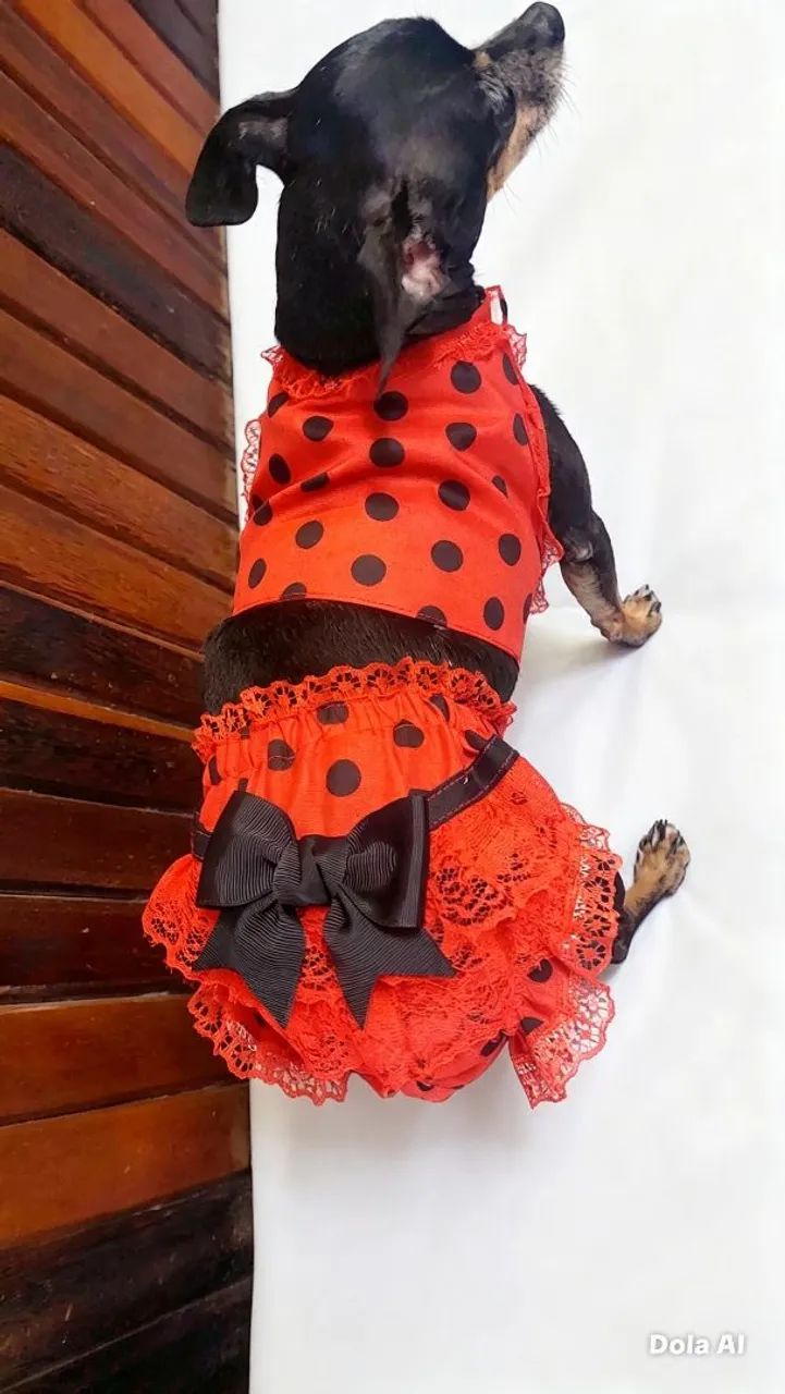 Roupas para seu Pet 