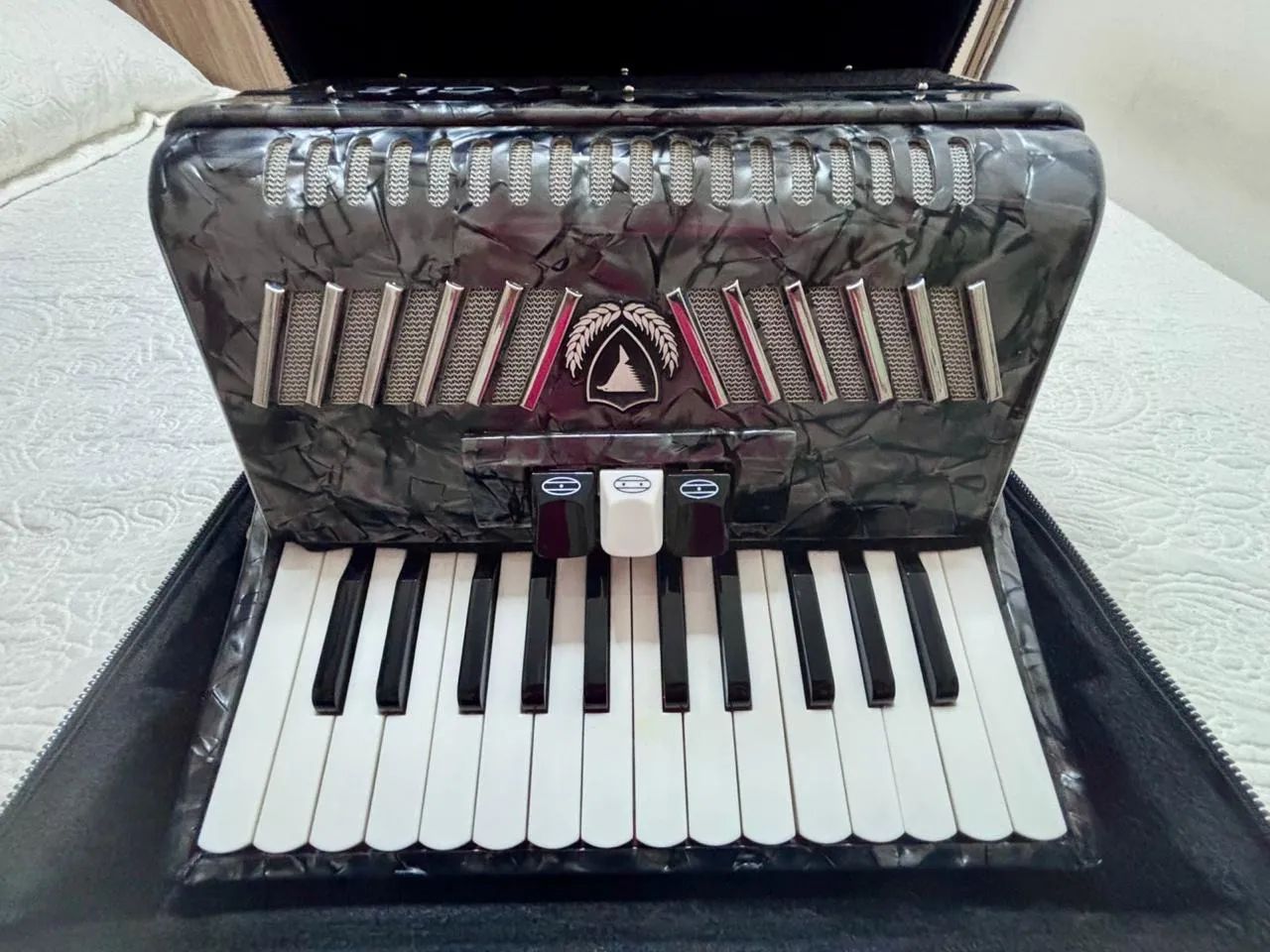 Acordeon 48 Baixos 