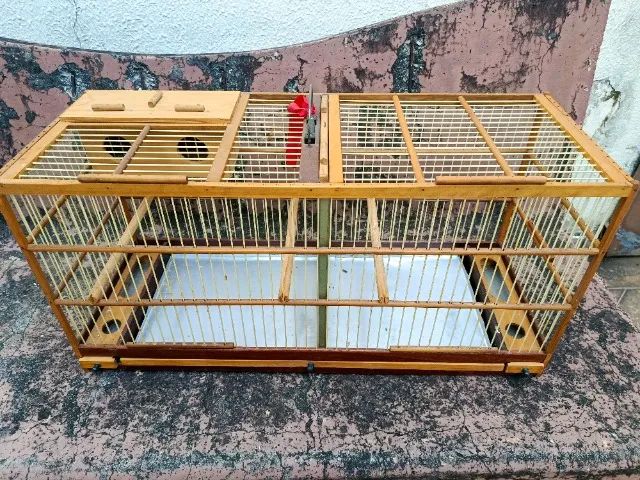 Gaiola de madeira, criadeira, malha fina - Foto 4