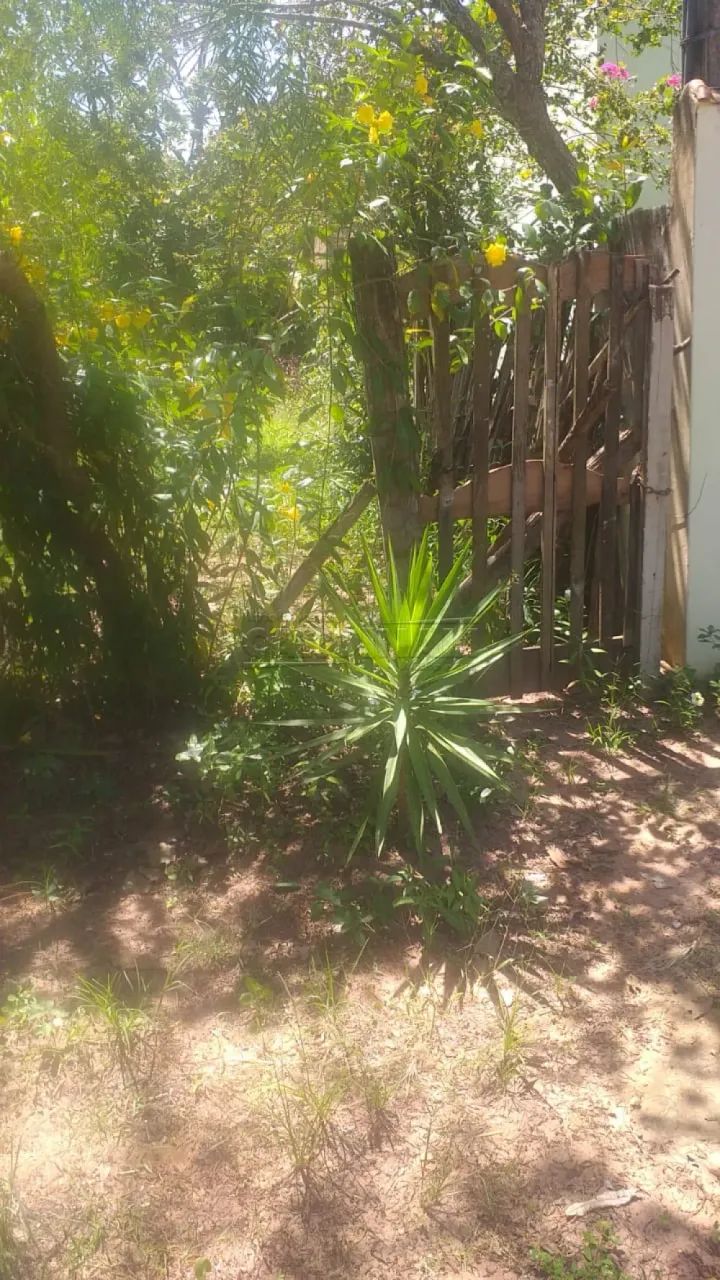 Rural Chácara em Brotas - Foto 4