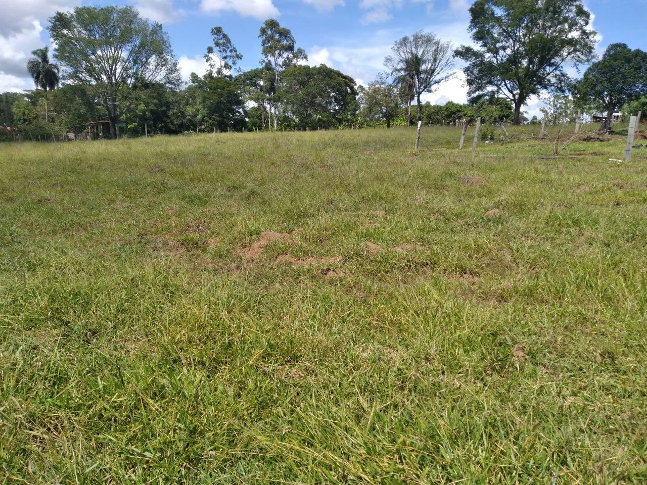 Terreno pra chácara  - Foto 4
