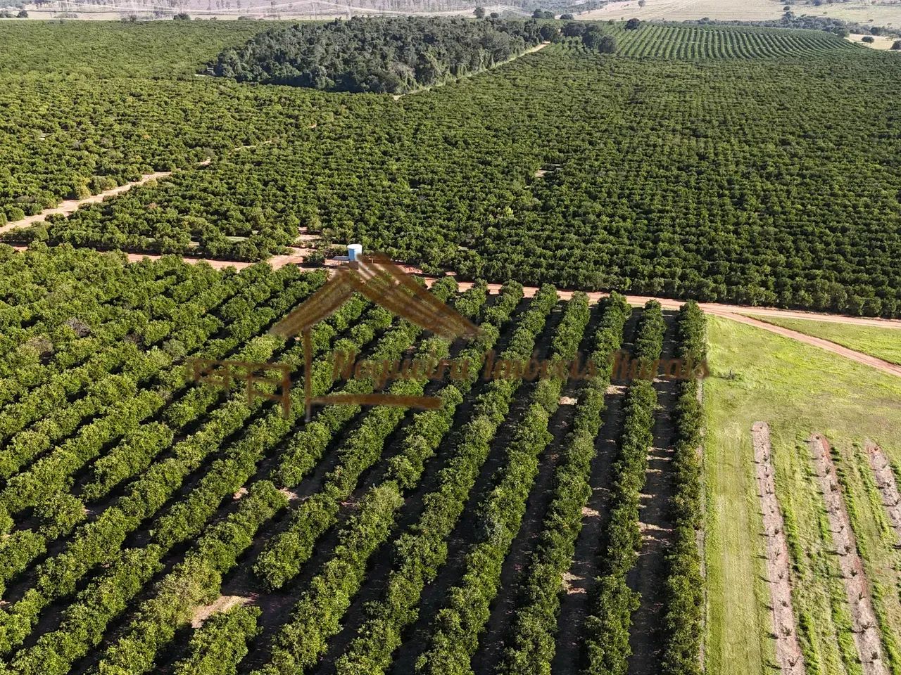 Fazenda com 75 alqueires na região de Garça-SP - Foto 2
