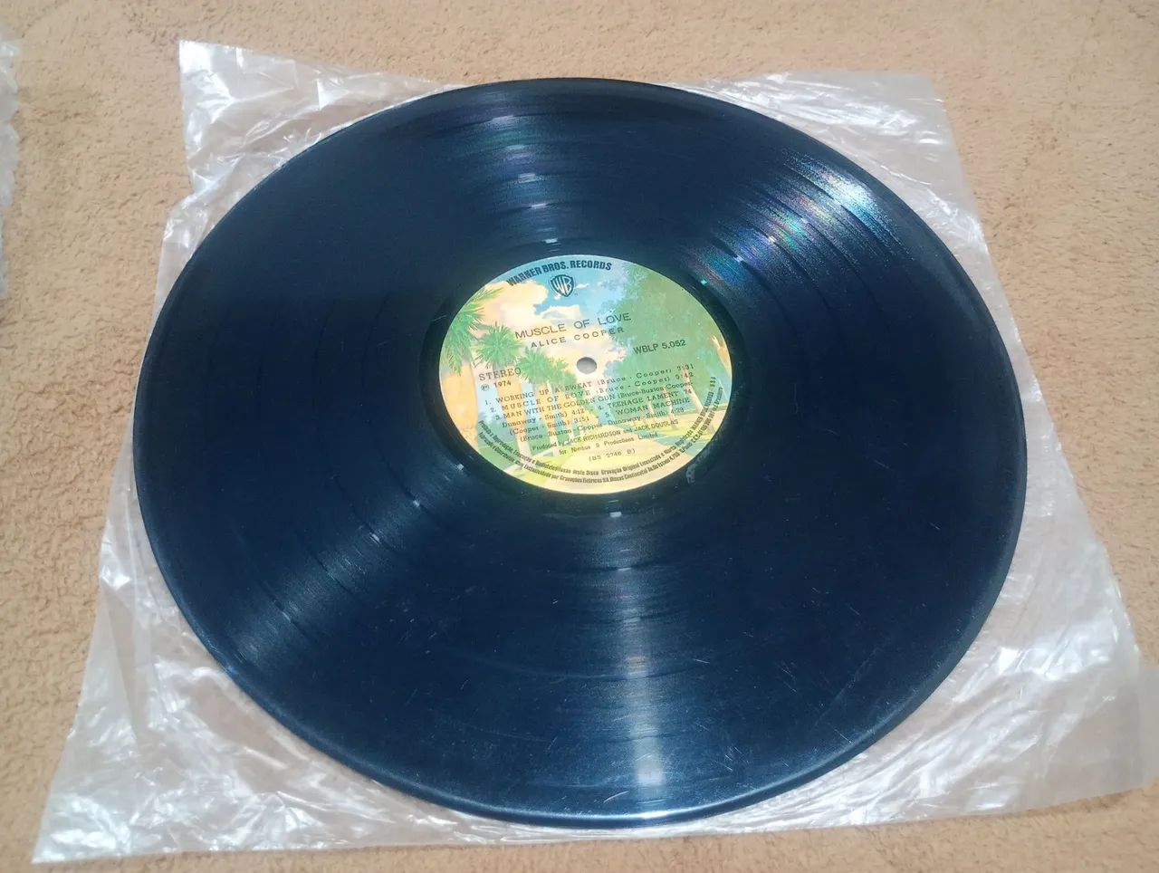 Discos vinil de Rock sem capa  - Foto 3