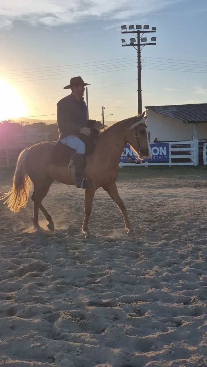 Egua Baia - Foto 2