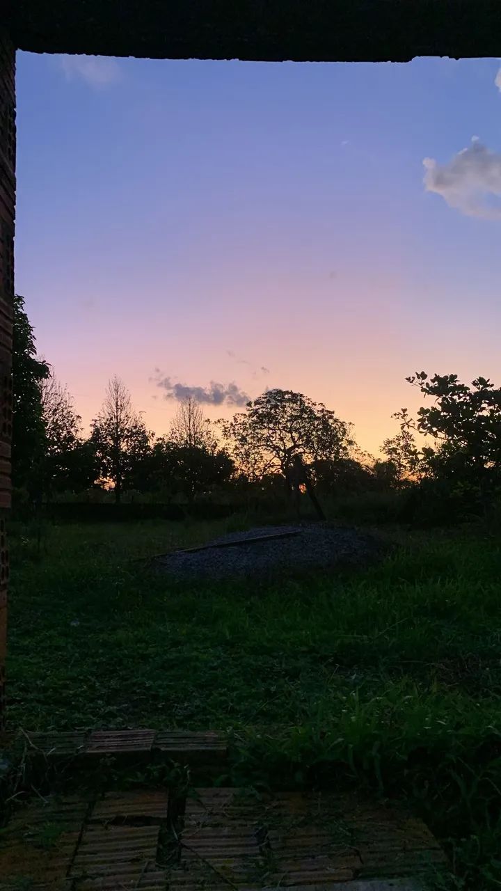 Vende se chácara no ramal do cacau - Foto 2