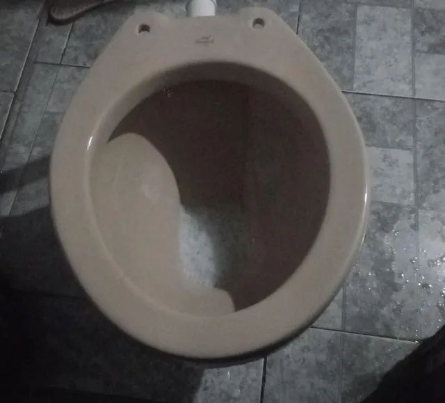 Vaso sanitário Bege  - Foto 2