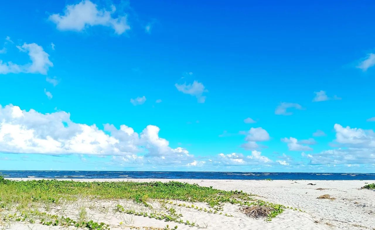Foto - Maceió - Feitosa