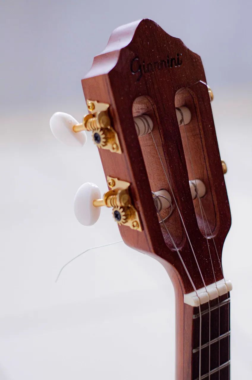 Cavaco cavaquinho Gianini Raiz - Foto 3