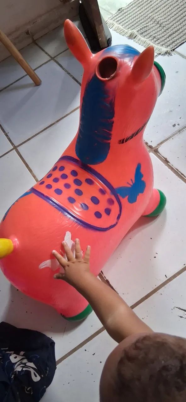 Cavalinho pula pula